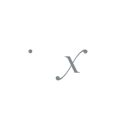 Direxion Shares ETF Trust Direxion Daily TSLA Bull 2X Shares